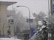 Inverno 2004-05